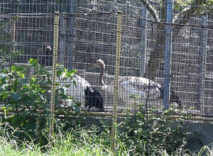 休暇村グループおすすめの公共の宿 国民宿舎サンロード吉備路