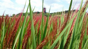 休暇村グループおすすめの公共の宿 国民宿舎サンロード吉備路