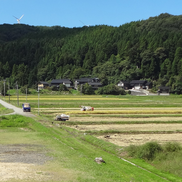 DSC00380①
