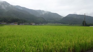 DSC01330