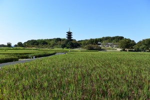 休暇村グループおすすめの公共の宿 国民宿舎サンロード吉備路
