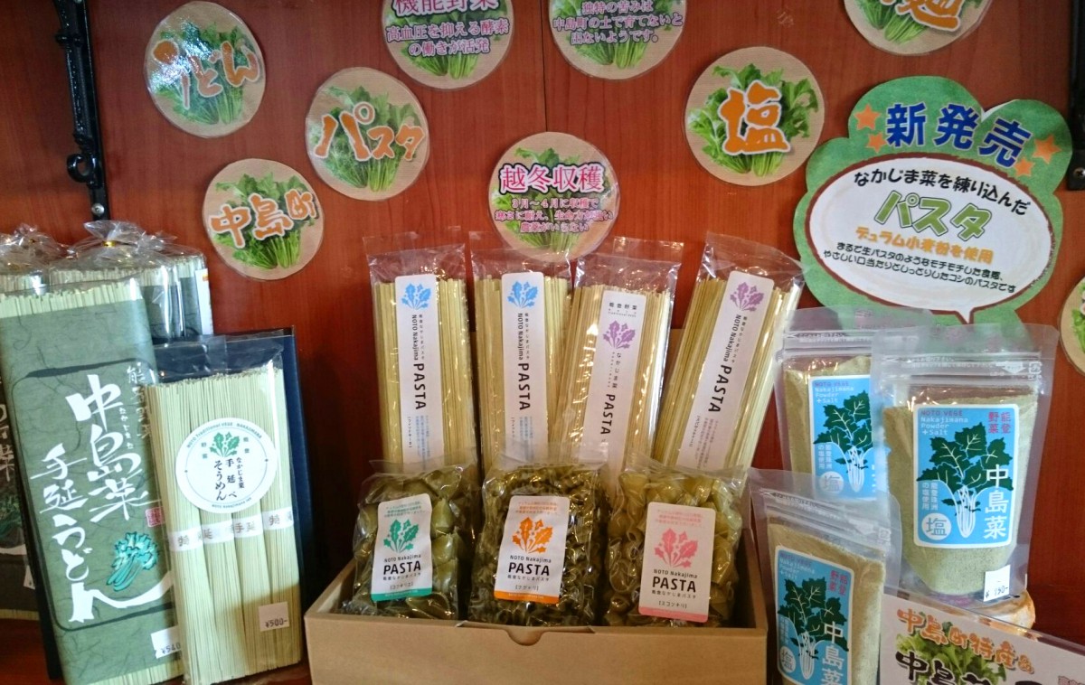 中島菜 小牧台