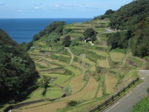 休暇村グループおすすめの公共の宿 国民宿舎波戸岬