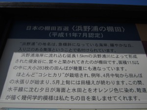 休暇村グループおすすめの宿 国民宿舎波戸岬