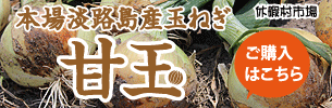 淡路島産玉ねぎ 甘玉