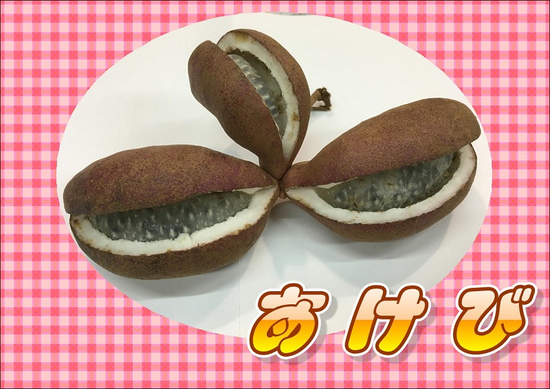 休暇村グループ 公共の宿 保養センター 美榛苑 あけび