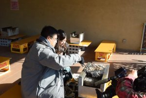 休暇村グループ 公共の宿 国民宿舎サンロード吉備路 かき小屋取材