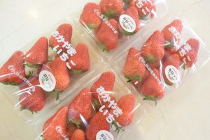 休暇村グループ 公共の宿 国民宿舎サンロード吉備路