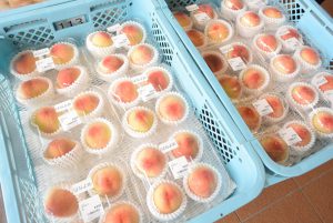 休暇村グループ 公共の宿 国民宿舎サンロード吉備路