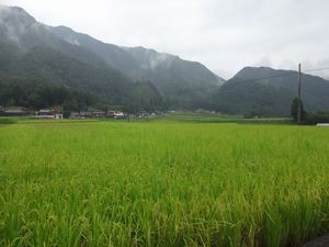 DSC01330