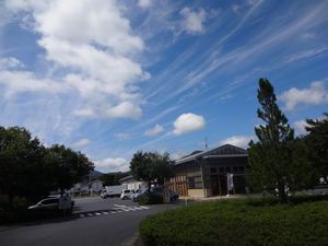 DSC01516
