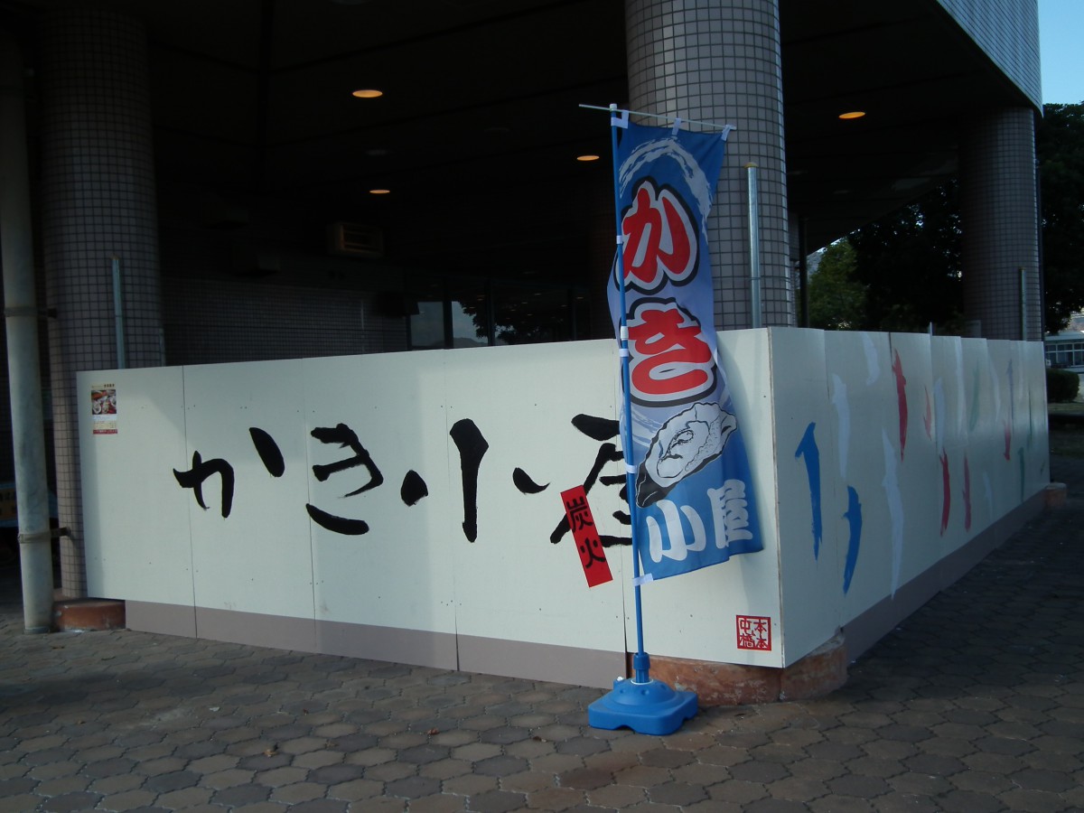 DSCF8990