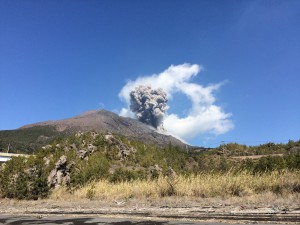 IMG_0557