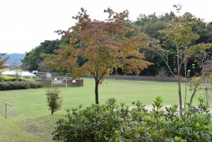 休暇村グループの公共の宿 国民宿舎サンロード吉備路
