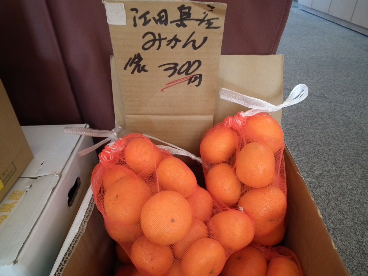 dscf9818