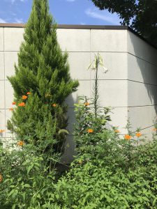休暇村グループの公共の宿 国民宿舎両神荘 ユリ2