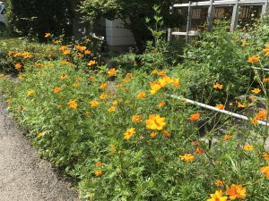 休暇村グループの公共の宿 国民宿舎両神荘 コスモス