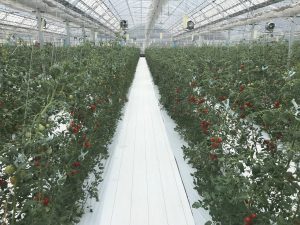 休暇村グループおすすめの公共の宿むいかいち温泉ゆ・ら・ら
