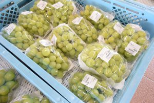 休暇村グループの公共の宿 国民宿舎サンロード吉備路