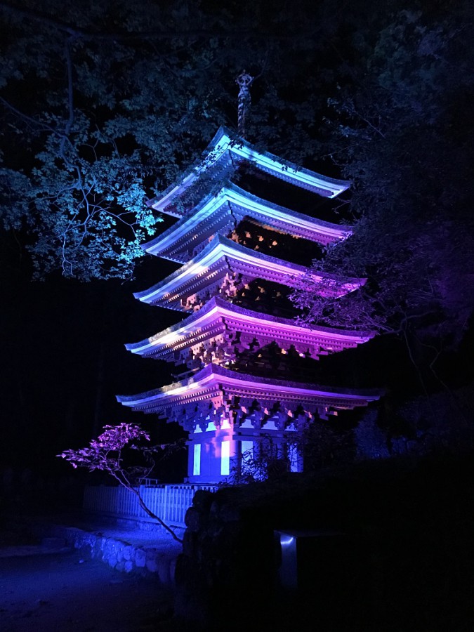休暇村グループ 公共の宿 保養センター 美榛苑 室生寺ライトアップ 2016 1
