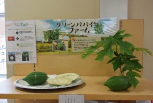 休暇村グループ 公共の宿 国民宿舎サンロード吉備路