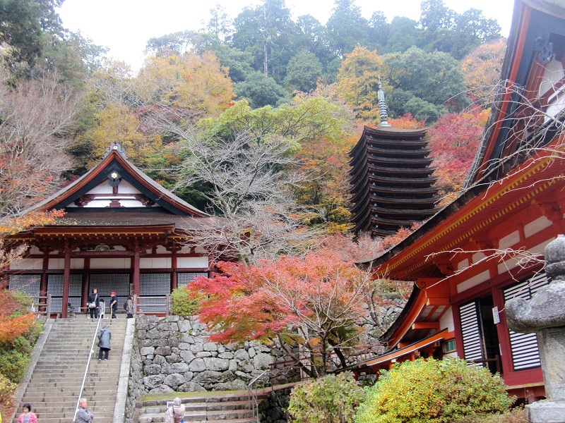 休暇村グループ 公共の宿 保養センター 美榛苑 談山神社 2016