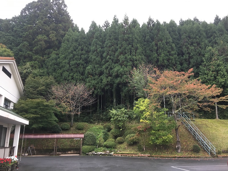 休暇村グループ 公共の宿 保養センター 美榛苑 紅葉