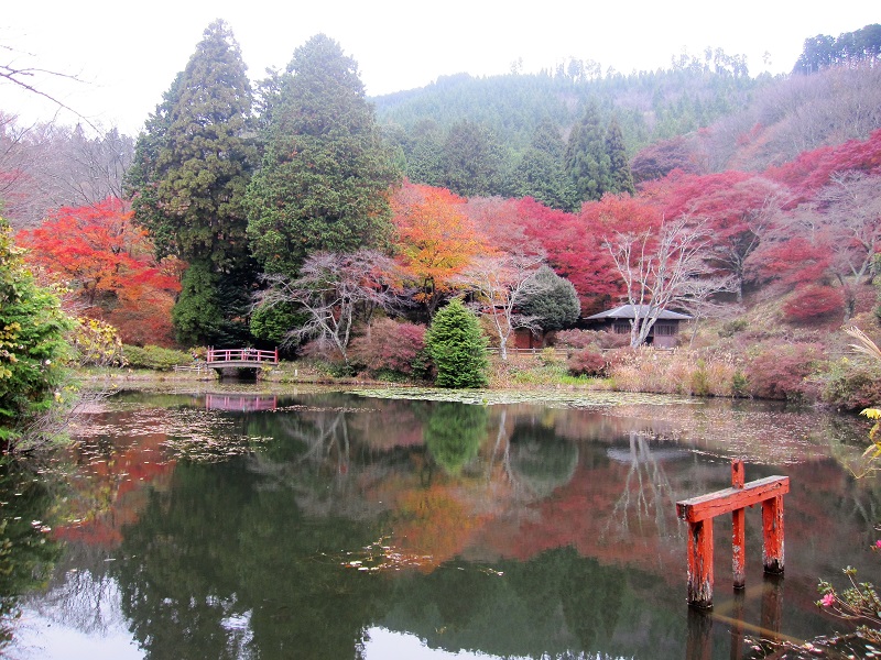 休暇村グループ 公共の宿 保養センター美榛苑 鳥見山公園 2016