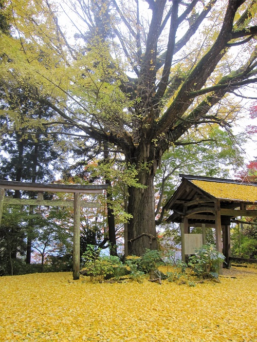 休暇村グループ 公共の宿 保養センター 美榛苑 戒長寺