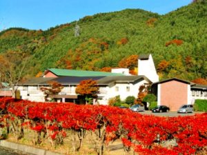 休暇村グループの公共の宿 国民宿舎両神荘 紅葉