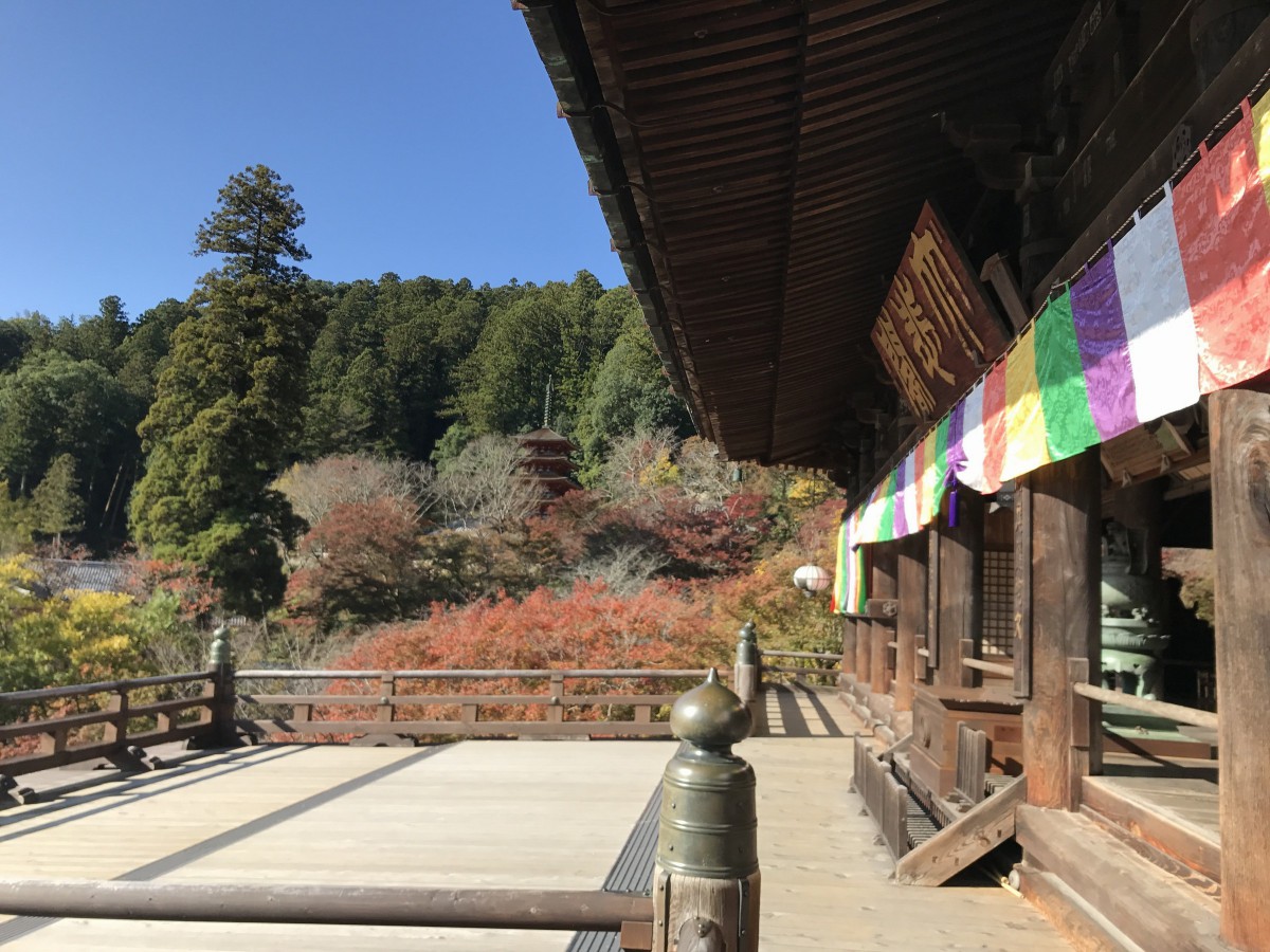 休暇村グループ公共の宿 保養センター美榛苑