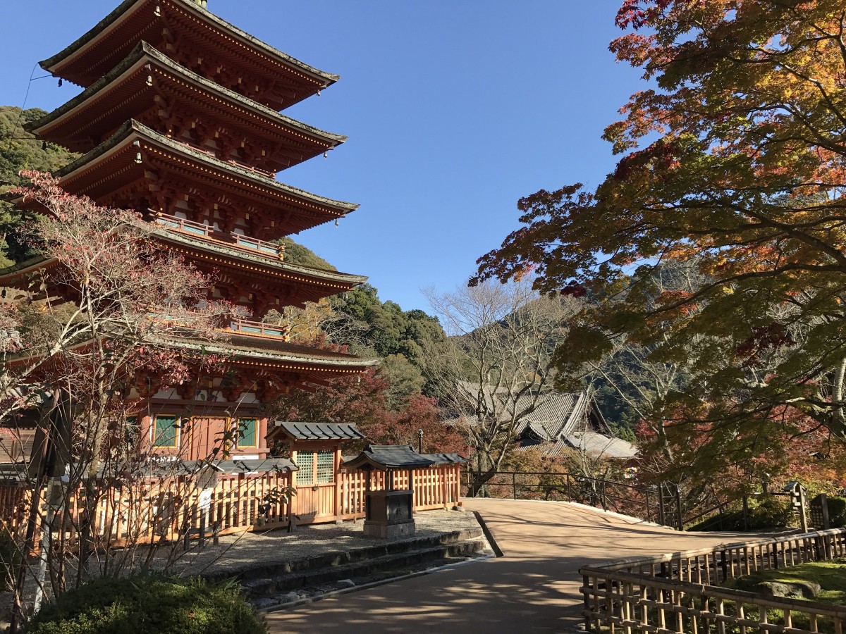 休暇村グループ公共の宿 保養センター美榛苑