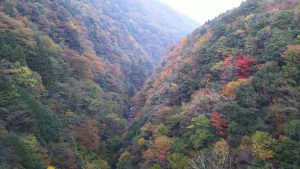 休暇村グループおすすめの公共の宿むいかいち温泉ゆ・ら・ら