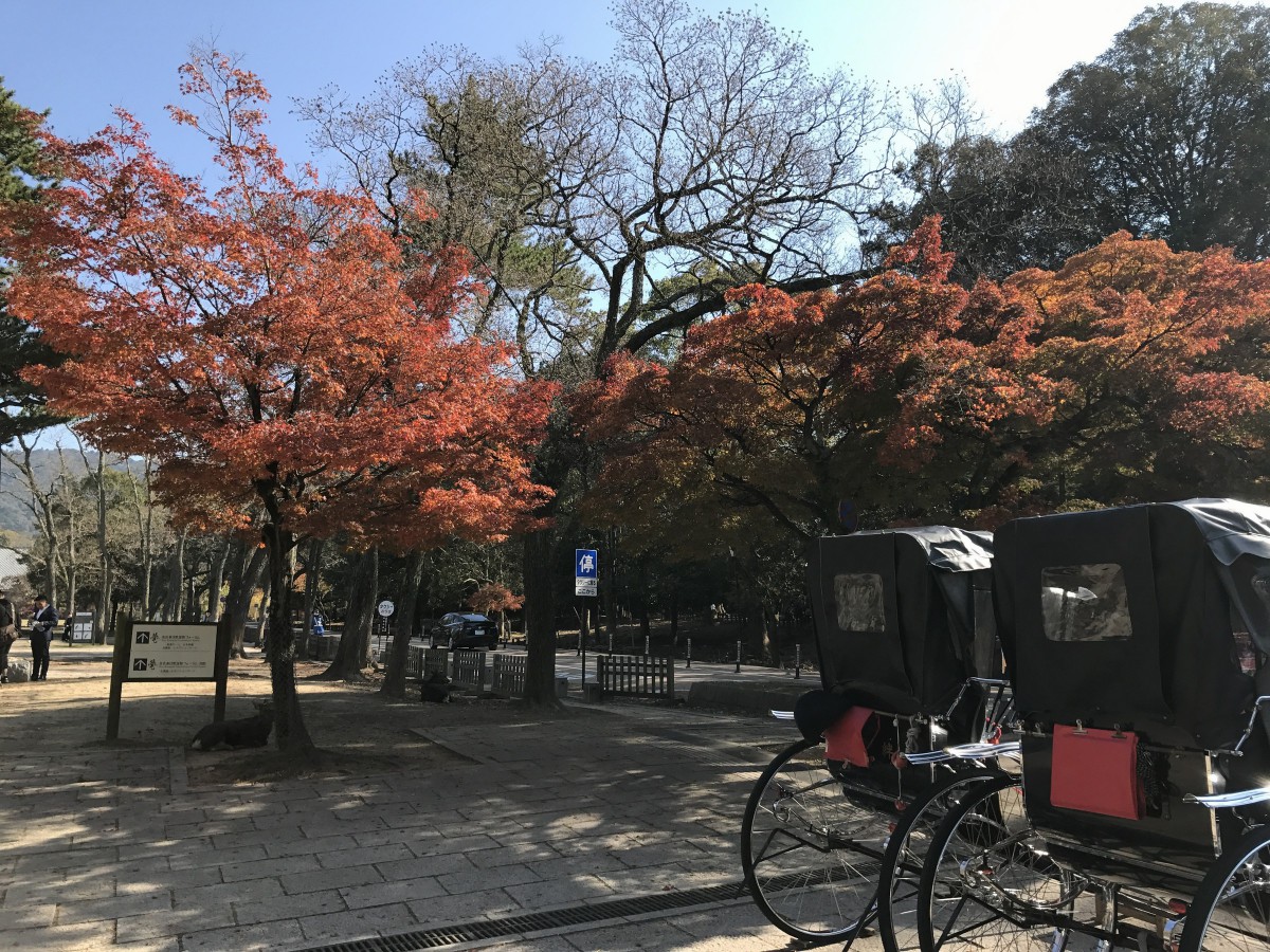 休暇村グループの公共の宿 保養センター美榛苑
