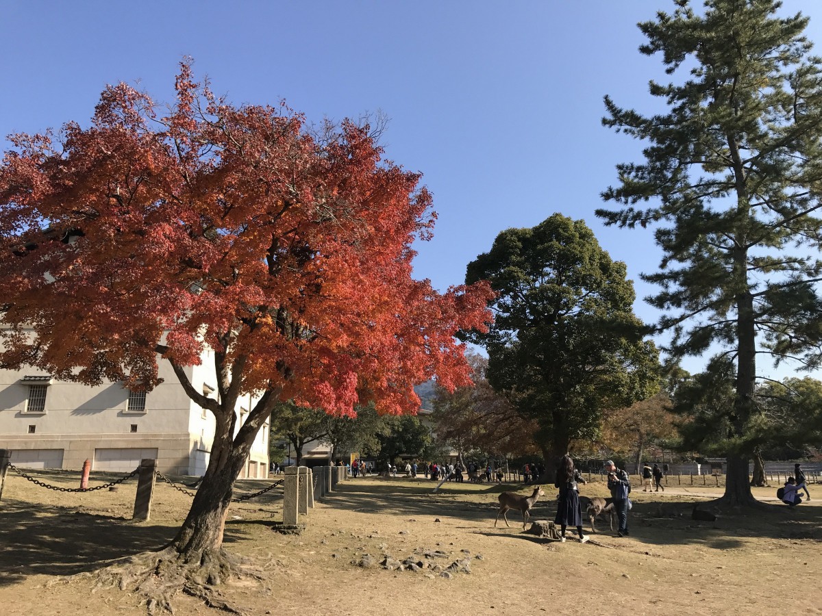 休暇村グループの公共の宿 保養センター美榛苑