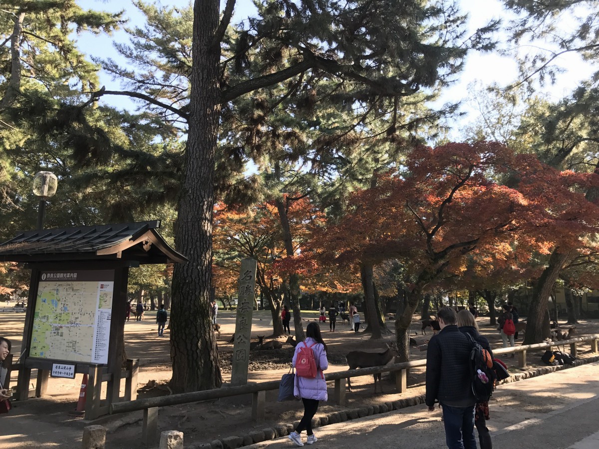 休暇村グループの公共の宿 保養センター美榛苑