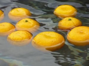 休暇村グループの公共の宿 国民宿舎両神荘 ゆず湯2