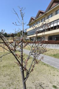 休暇村グループ 公共の宿 国民宿舎サンロード吉備路