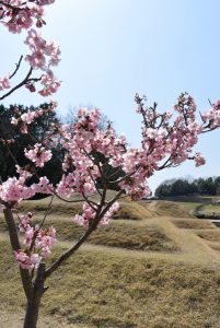 休暇村グループ 公共の宿 国民宿舎サンロード吉備路