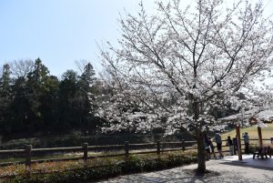 休暇村グループ 公共の宿 国民宿舎サンロード吉備路