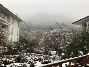 休暇村グループの公共の宿 国民宿舎両神荘 雪景色