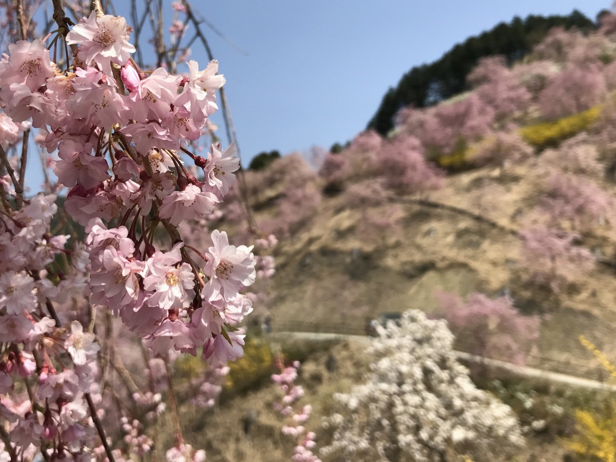 休暇村グループの公共の宿 保養センター美榛苑