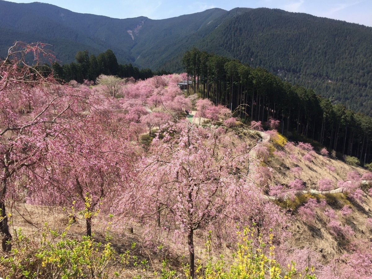 休暇村グループの公共の宿 保養センター美榛苑