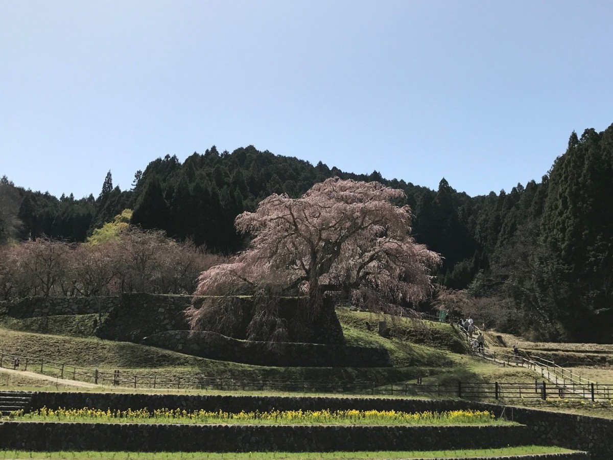 休暇村グループの公共の宿 保養センター美榛苑