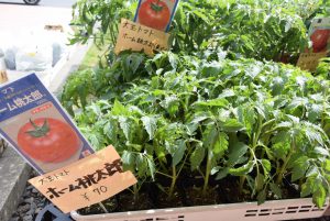 休暇村グループ 公共の宿 国民宿舎サンロード吉備路