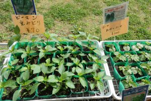 休暇村グループ 公共の宿 国民宿舎サンロード吉備路