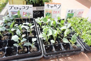 休暇村グループ 公共の宿 国民宿舎サンロード吉備路