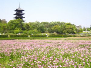 休暇村グループ 公共の宿 国民宿舎サンロード吉備路