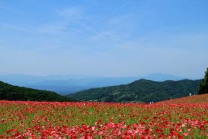 休暇村グループの公共の宿 国民宿舎両神荘 ポピー2