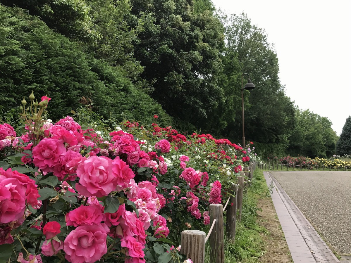 休暇村グループの公共の宿 保養センター美榛苑